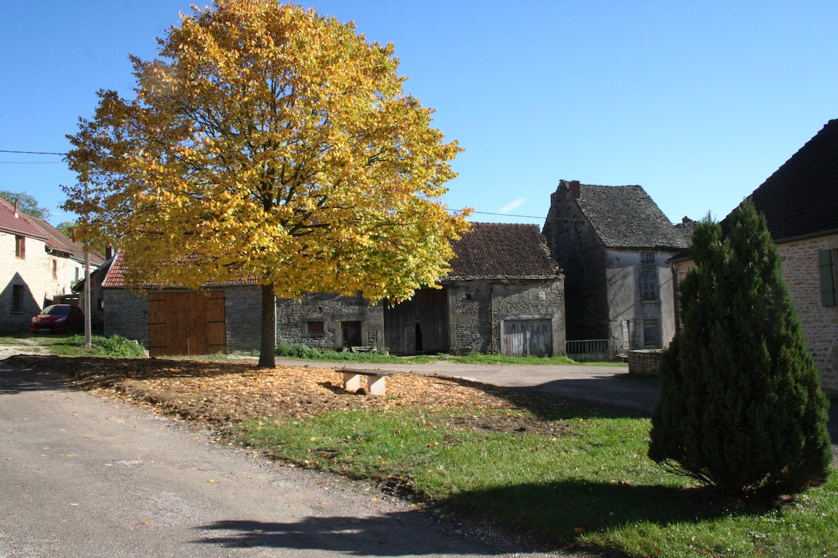 Ré-engazonnement de place de l'église - Savigny-sous-Mâlain